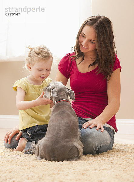 Frau Schwester jung 2-3 Jahre 2 bis 3 Jahre Schnauzer spielen