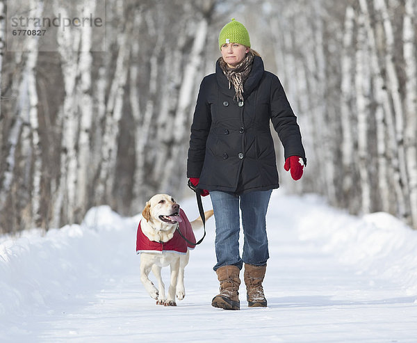 Frau  gehen  gelb  Hund  Labrador  Retriever  Assiniboine  Kanada  Manitoba  Winnipeg