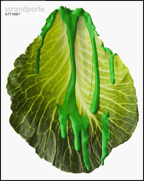 bedecken  Pflanzenblatt  Pflanzenblätter  Blatt  grün  Salat  Farbe  Farben  schießen  Studioaufnahme  bemalen