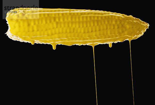 Mais  Zuckermais  Kukuruz  bedecken  gelb  Farbe  Farben  schießen  Studioaufnahme  Maiskolben  bemalen