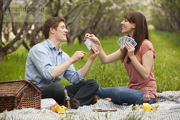 Vereinigte Staaten von Amerika  USA  Picknick  Karte  jung  Obstgarten  spielen  Utah