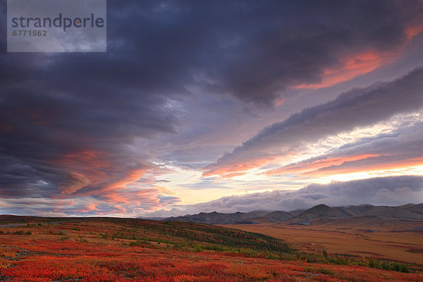 Wolke  Sonnenaufgang  Kreis  Arktis  Yukon