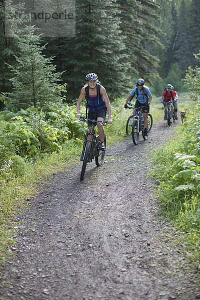 Berg  Fröhlichkeit  Mensch  5  Menschen  Menschengruppe  Menschengruppen  Gruppe  Gruppen  radfahren  Fernie  British Columbia  British Columbia  Kanada