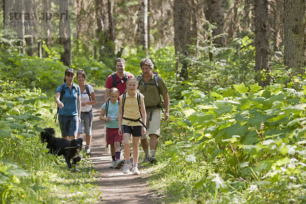 Wald  Hund  wandern  Fernie  British Columbia  British Columbia  Kanada