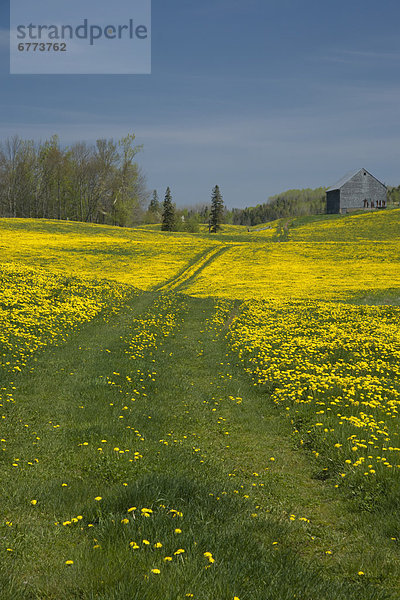 Nova Scotia  Neuschottland