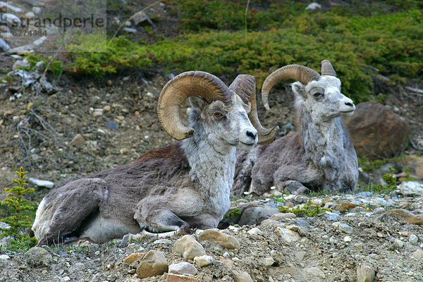 British Columbia