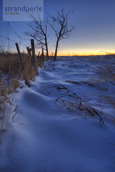 Winter  Sonnenuntergang  Silhouette  dahintreibend  Zaun  Metalldraht  Stacheldraht  Schnee