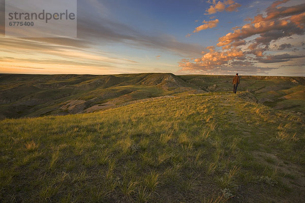 stehend  Mann  Sonnenuntergang  über  Wiese  Saskatchewan
