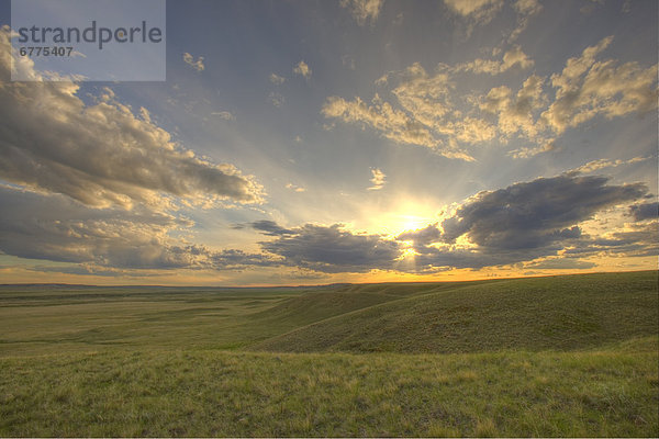 Sonnenuntergang  über  Wiese  Saskatchewan