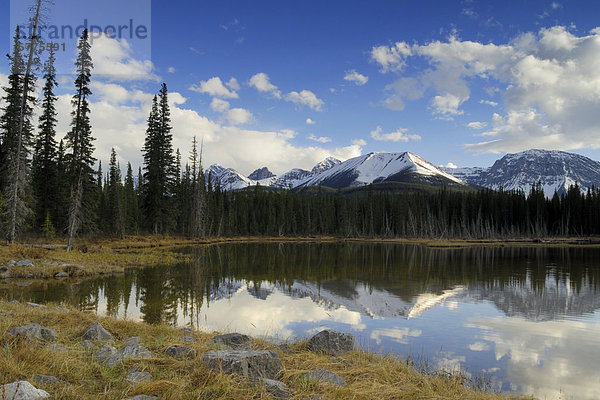 Berg  Bundesstraße  vorwärts  Alberta  Teich