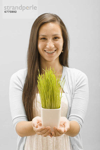 Portrait  Frau  halten  jung  Weizen  Gras  Studioaufnahme