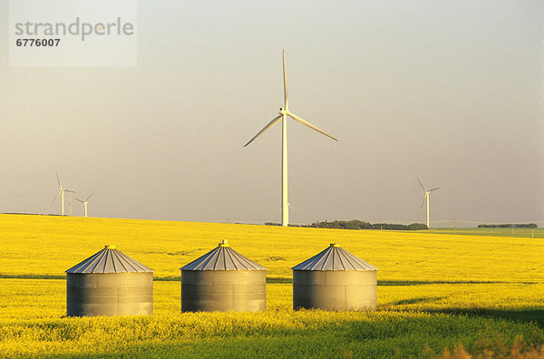 Windturbine Windrad Windräder Getreide Alternative Feld Künstler Canola Leon Manitoba