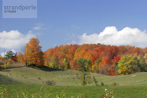 Ontario