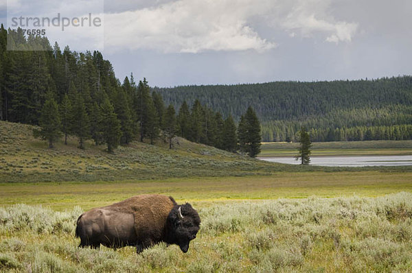 Vereinigte Staaten von Amerika  USA  Wyoming