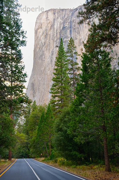 USA  California  Yosemite-Nationalpark  El Capitan