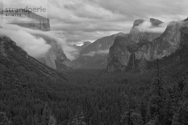 Vereinigte Staaten von Amerika  USA  Yosemite Nationalpark  Kalifornien