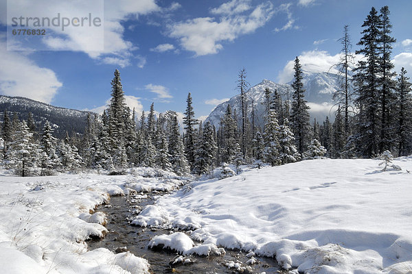 Banff Nationalpark  Alberta