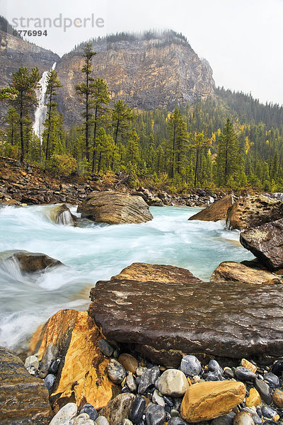 Fluss  Herbst  Yoho Nationalpark  Takakkaw Falls  British Columbia  Kanada