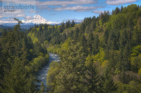 Vereinigte Staaten von Amerika  USA  hoch  oben  Hintergrund  Fluss  Ansicht  Flachwinkelansicht  Winkel  Kapuze  Oregon