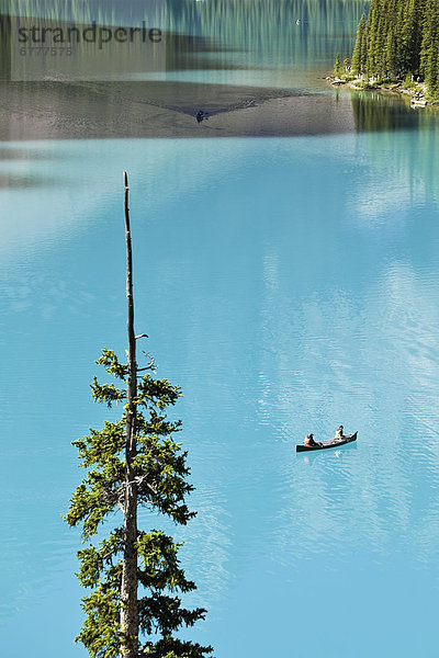 Wasser  See  Kanu  türkis  Moräne  Valley of the Ten Peaks  Banff Nationalpark  Alberta