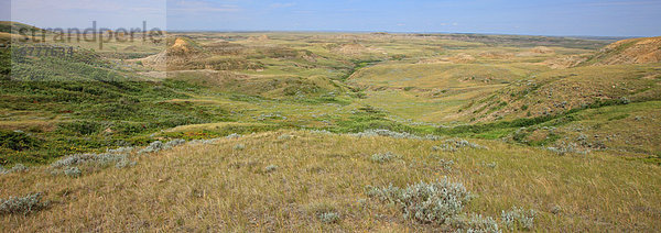 Panorama  Steppe  Ansicht  Saskatchewan