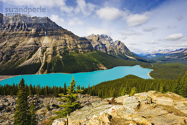 Peyto Lake  Banff Nationalpark  Alberta