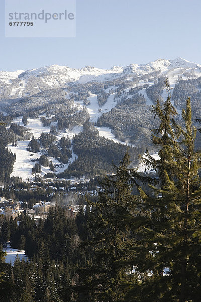 Whistler Mountain  British Columbia