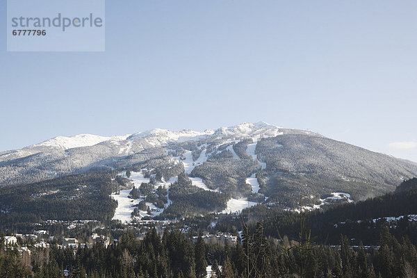 Whistler Mountain  British Columbia