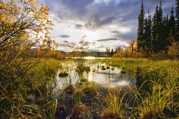 Farbaufnahme  Farbe  Sonnenuntergang  Fluss  Yukon