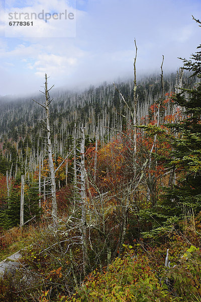 Great Smoky Mountains Nationalpark  North Carolina