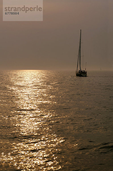 Wasser  Sonnenuntergang  Tretboot  Ontario  Toronto