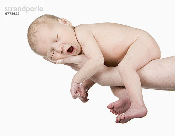 Neugeborenes  neugeboren  Neugeborene  Portrait  Studioaufnahme