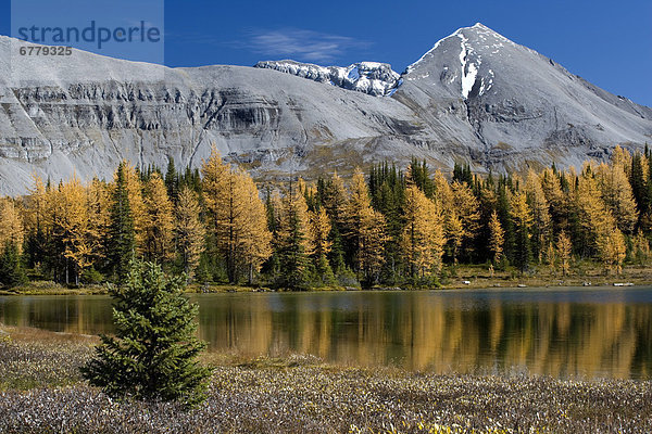 Alberta  Kanada