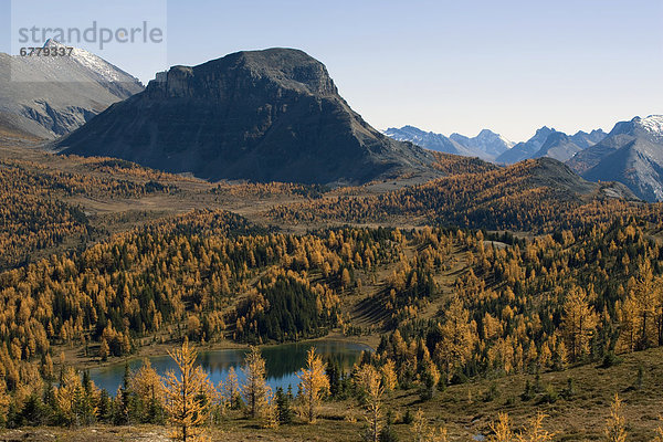 Alberta  Kanada