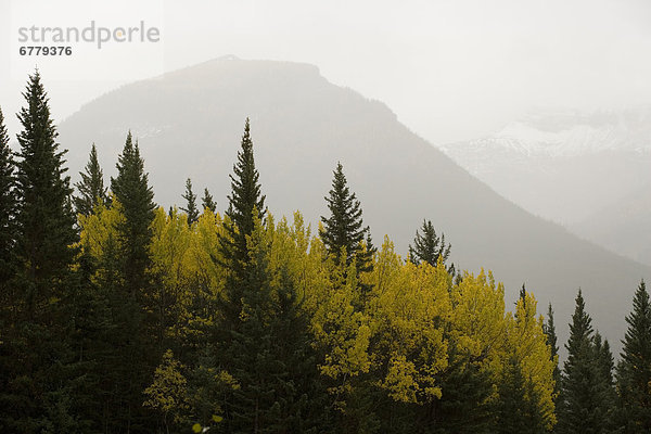 Alberta  Banff  Kanada