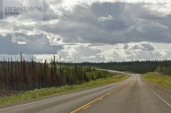 Wolke  Baum  vorwärts  Autobahn  Northwest Territories