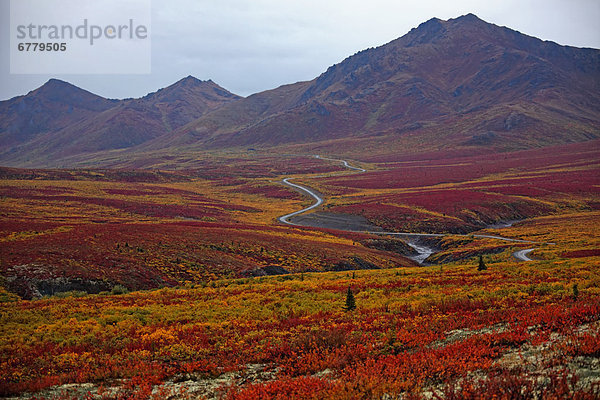 Farbaufnahme  Farbe  Biegung  Biegungen  Kurve  Kurven  gewölbt  Bogen  gebogen  Herbst  Bundesstraße  Weg  Yukon
