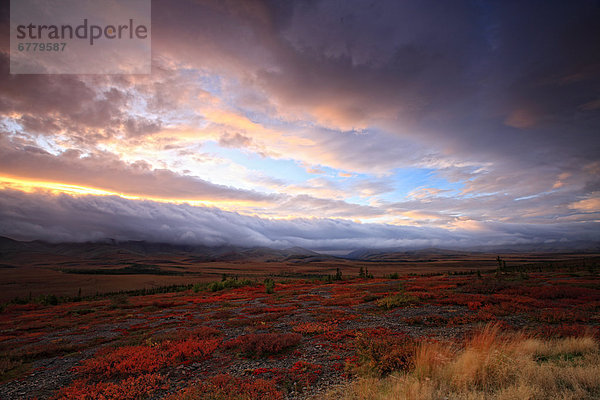 niedrig  Wolke  Sonnenaufgang  Kreis  Arktis  Yukon