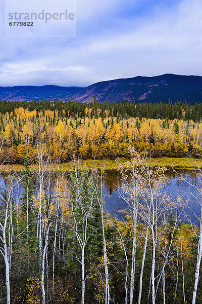 nahe  Farbaufnahme  Farbe  überqueren  Teich  Yukon