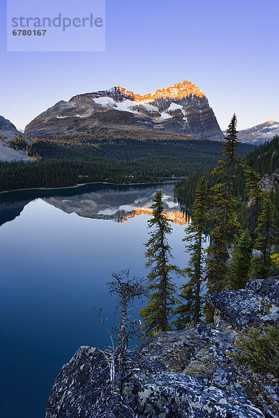 Berg  Sonnenaufgang  See  Yoho Nationalpark  Lake O'Hara  British Columbia