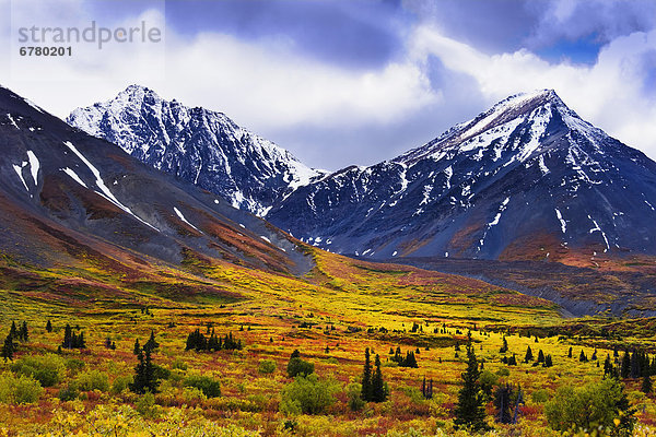 Kluane Nationalpark  Yukon