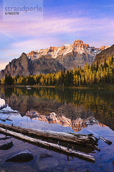 Sonnenuntergang See Berg Yoho Nationalpark British Columbia