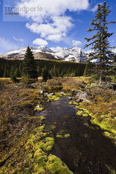 Yoho Nationalpark  British Columbia