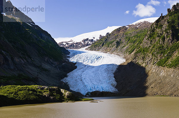 View of Bear Glacier  Northern British Columbia