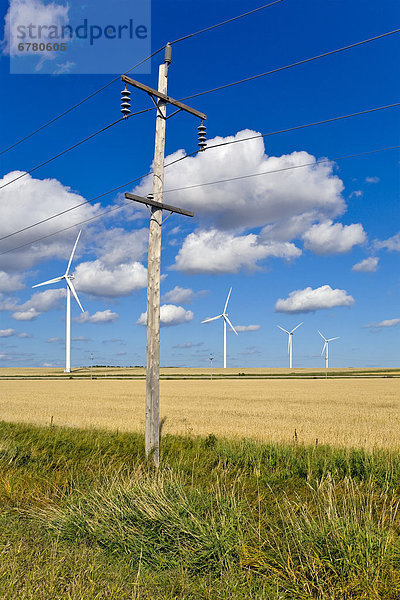 Energie energiegeladen Wind Bauernhof Hof Höfe Leon Linie Manitoba Stärke