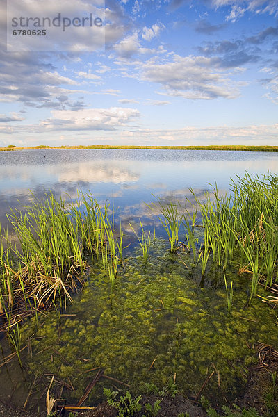 Manitoba  Oak Hammock Marsh