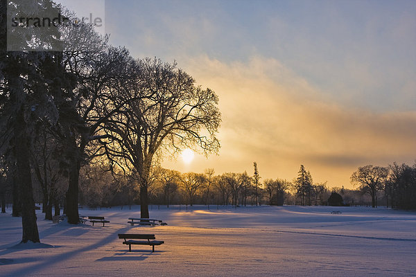 Assiniboine  Manitoba  Winnipeg