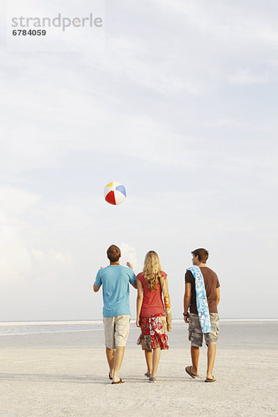 Friends walking on beach