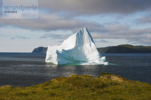 Eisberg  fließen  Cape Bonavista  Bucht  Halbinsel