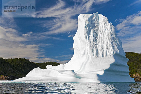 Eisberg  fließen  Cape Bonavista  Bucht  Halbinsel